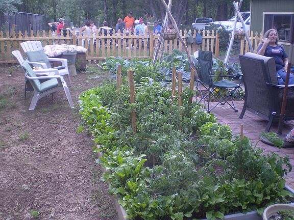 Gardens/patio