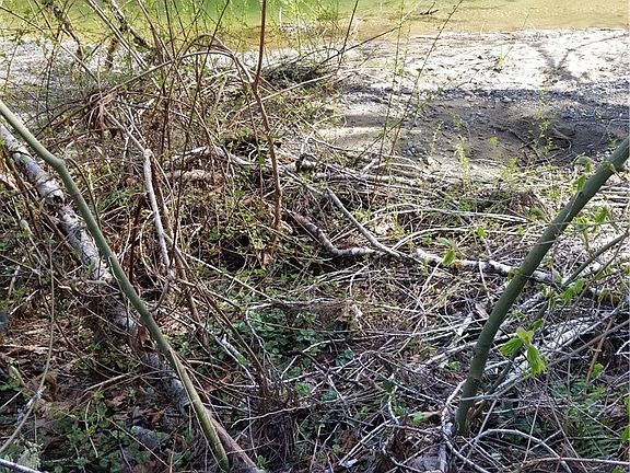 3rd image of 1781 NE Tahuya River Dr