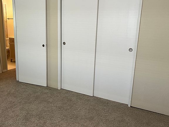 Bedroom #1 closet