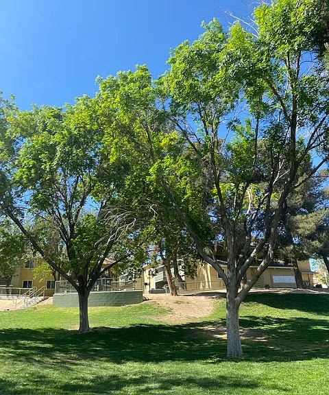 Virginia Terrace Apartments — Photo 4