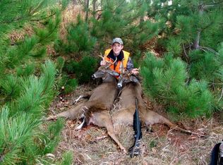 N Sherman Rd, Barryton, MI 49305