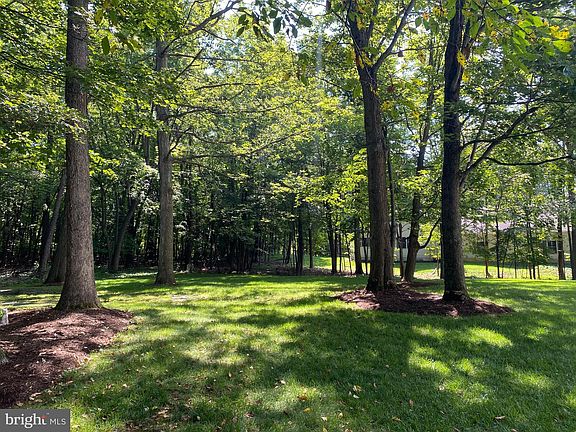 5th image of 111 Wildernest Ln