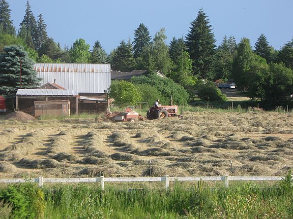 View from Deck
