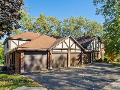 11101 Cottonwood Dr #1B, Palos Hills, IL, 60465