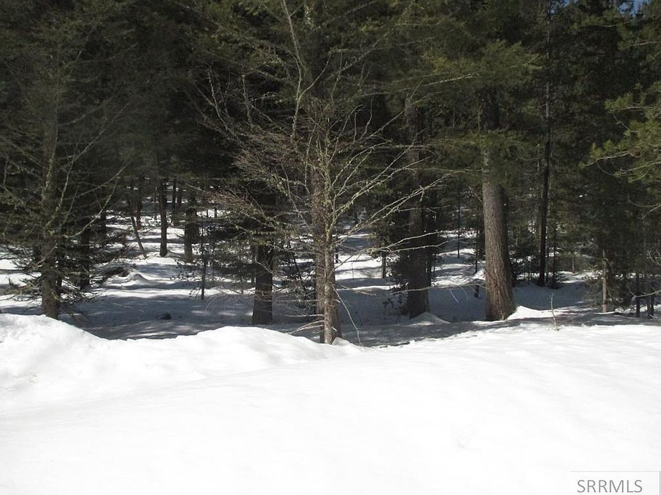 1st image of 4133 Sugar Pine Dr