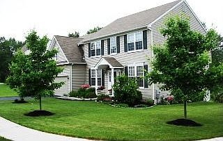 Side Corner with Trees