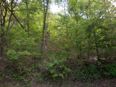 LOT 11 Lonesome Pine Way, Sevierville, TN, 37862