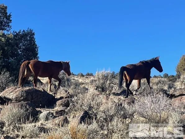 40 S Southwest 4nw4 S, Reno, NV 89521