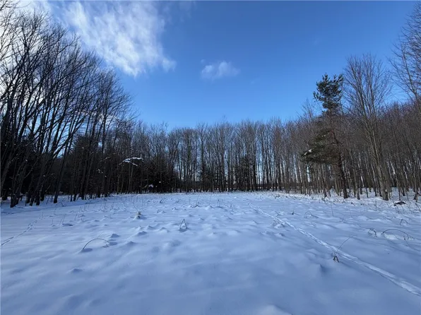Carpenter Rd, Eden, NY 14057