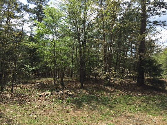 2nd image of 13201 Newell Ln