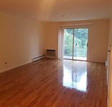 3rd image of 55 Elmwood Park APT 23