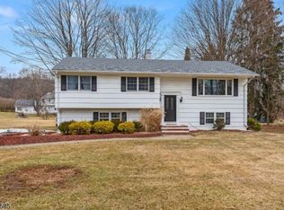 27 Ironia Rd, Flanders, NJ 07836