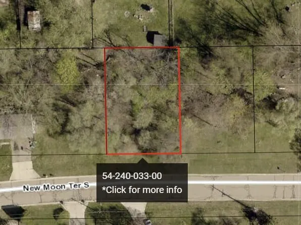 20 New Moon Ter S, Battle Creek, MI 49037