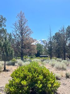 0 Sherwood Rd, Weed, CA, 96094