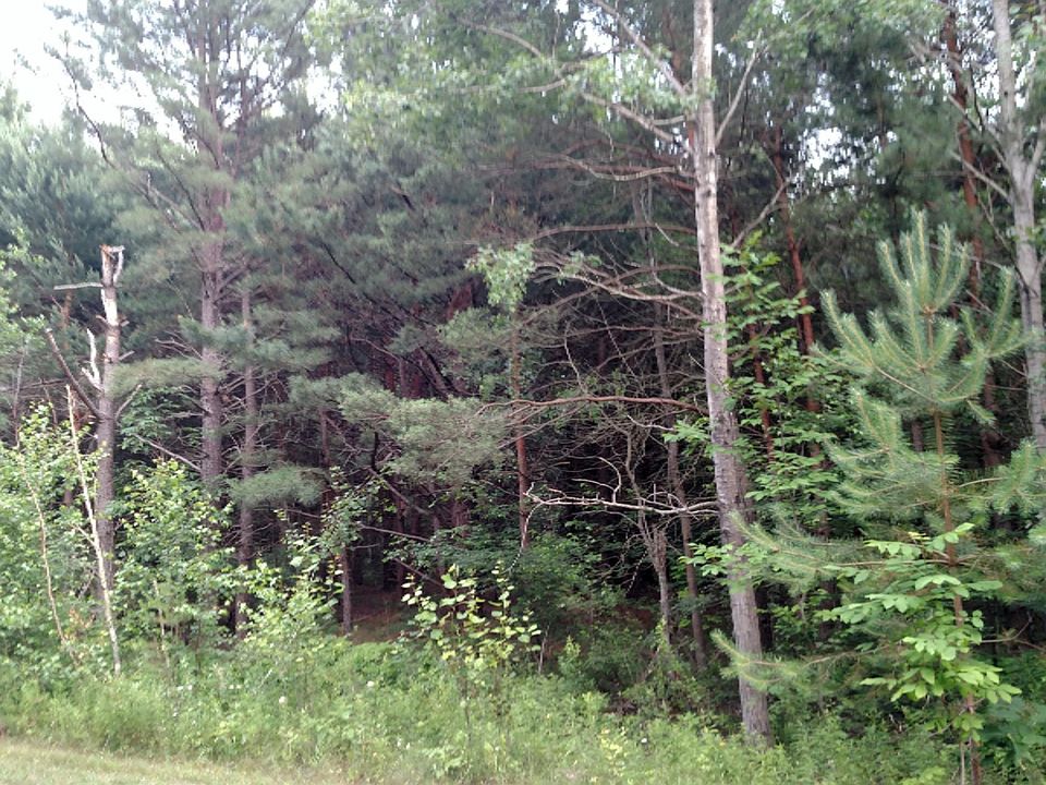 1st image of Norway Ct #11
