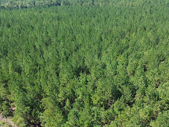 4th image of 15 Red Oak Rd