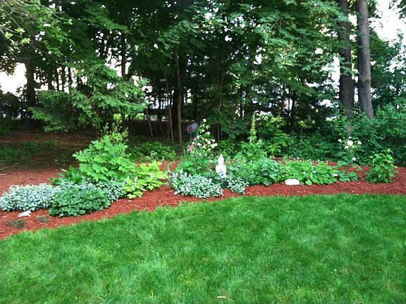 Perennial Garden