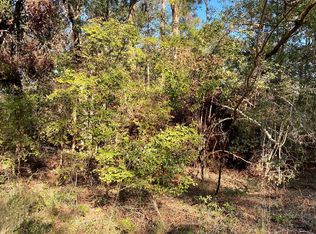 LOT 22 SW 32nd Ln, Jasper, FL 32052
