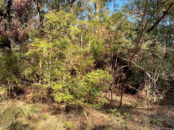 LOT 22 SW 32nd Ln, Jasper, FL 32052