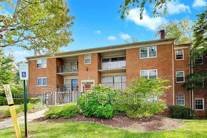 2 bed, 1.0 bath, 800 sqft, $2,000 — Photo 2