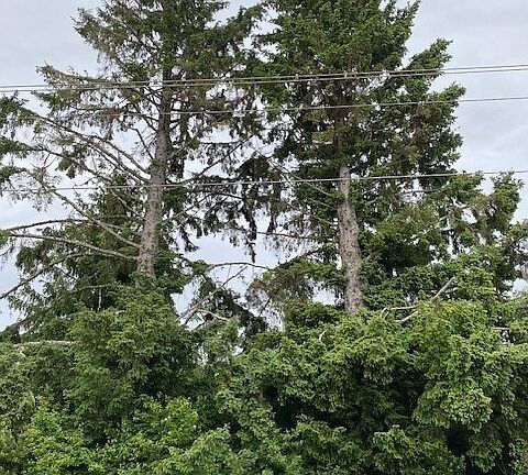 5th image of 782 Point Brown Avenue SE