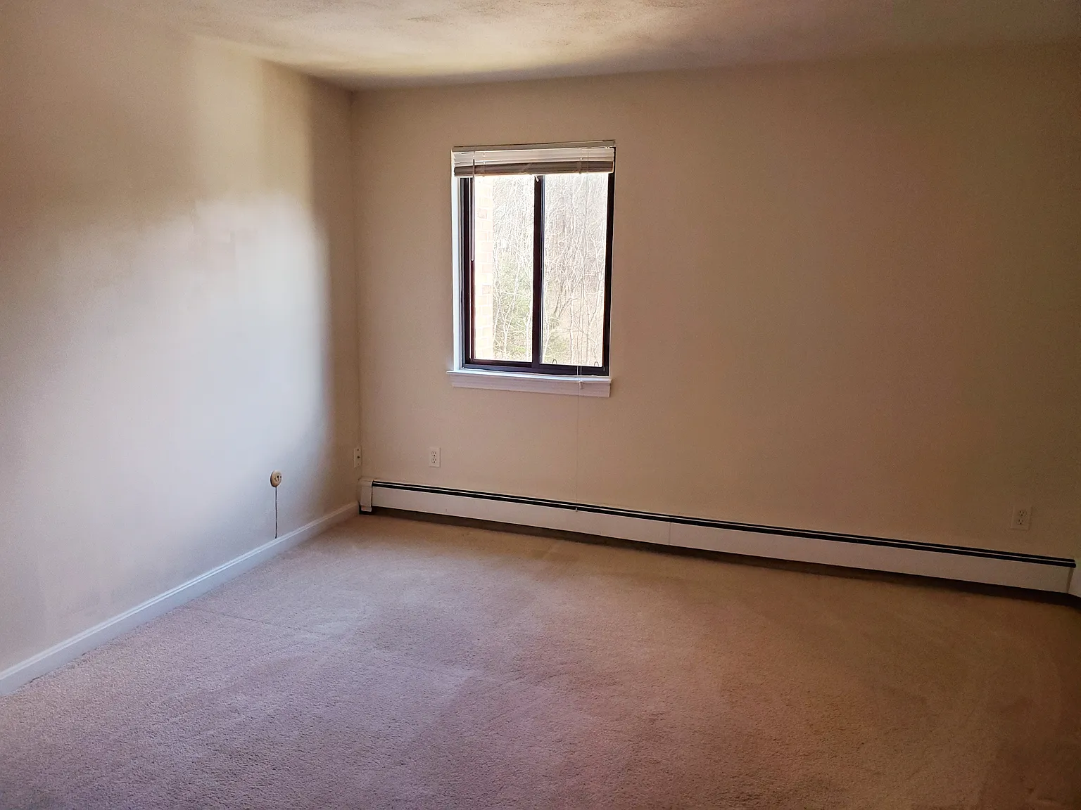 1 bed, 631 sqft, $1,800 — Photo 3