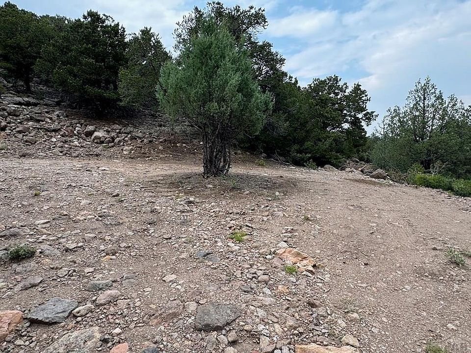2nd image of 1044 Rosewood Rd