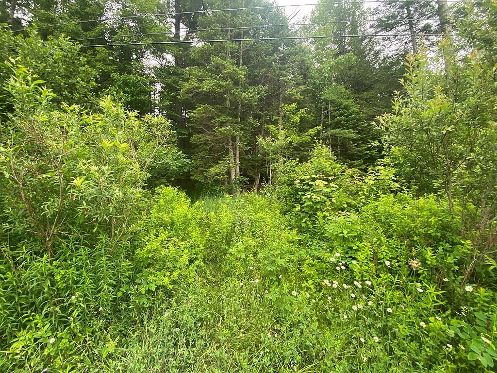 0 Route 374, Lyon Mountain, NY 12952 MLS 179151 Zillow