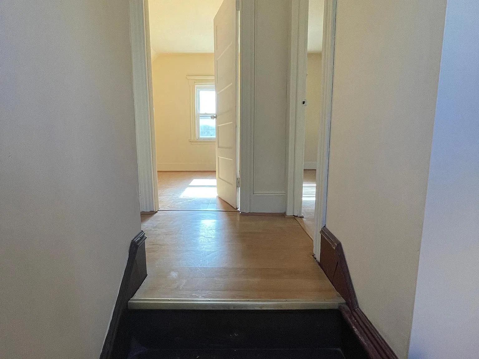 695 Mount Prospect Ave — Photo 4