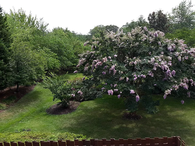 Common Area View from Deck