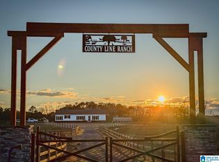 10450 Thermal Rd, Trafford, AL 35172