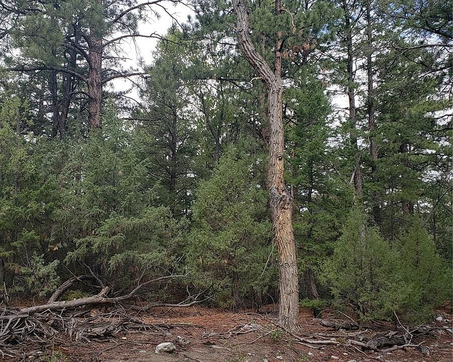 204 Zapata Pl W, Mosca, CO 81146 MLS 6210448 Zillow