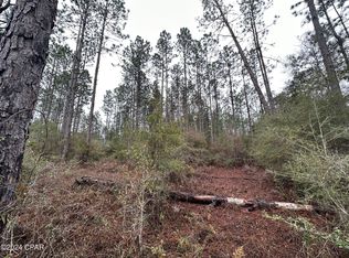 TRACT 6418 S Mattox Springs Rd #1, Caryville, FL 32427