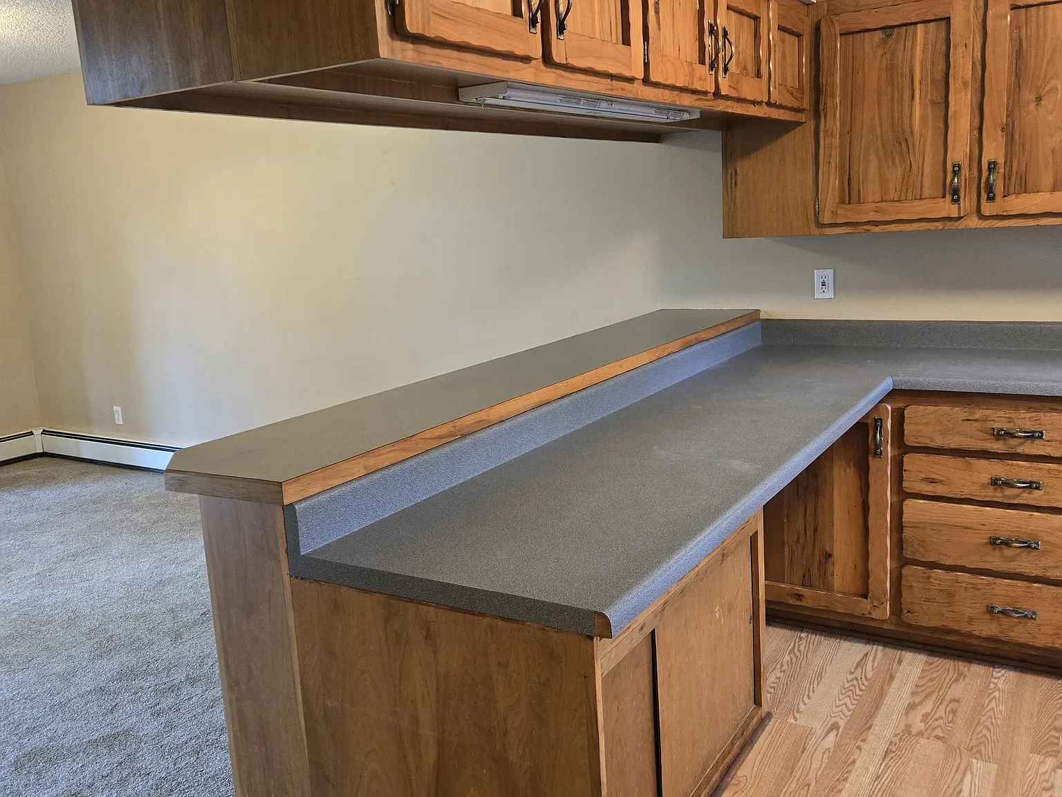 1841 Kedron Circle - 1 — Photo 4