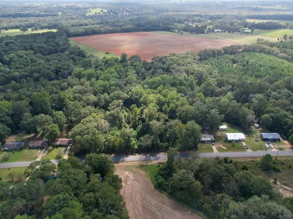 0 Jb Chapman Rd, Midland City, AL 36350