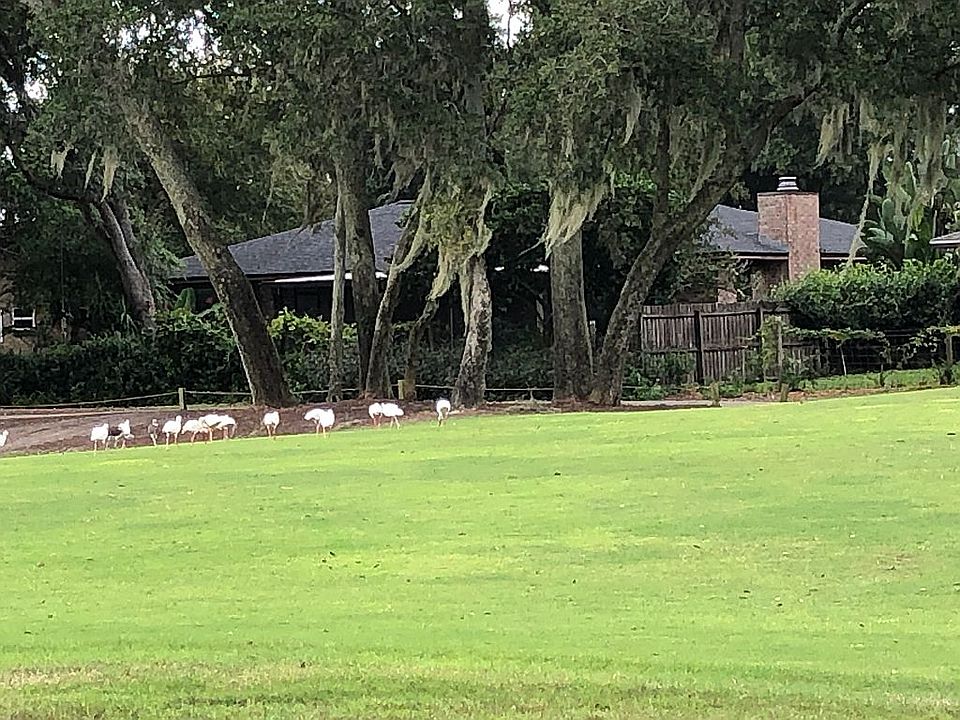 Golf course view