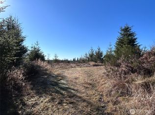 0 NKA Salmon Creek Road, Toledo, WA 98591