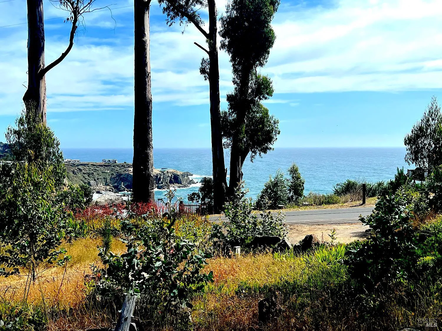 23285 Highway 1 - Photo 4