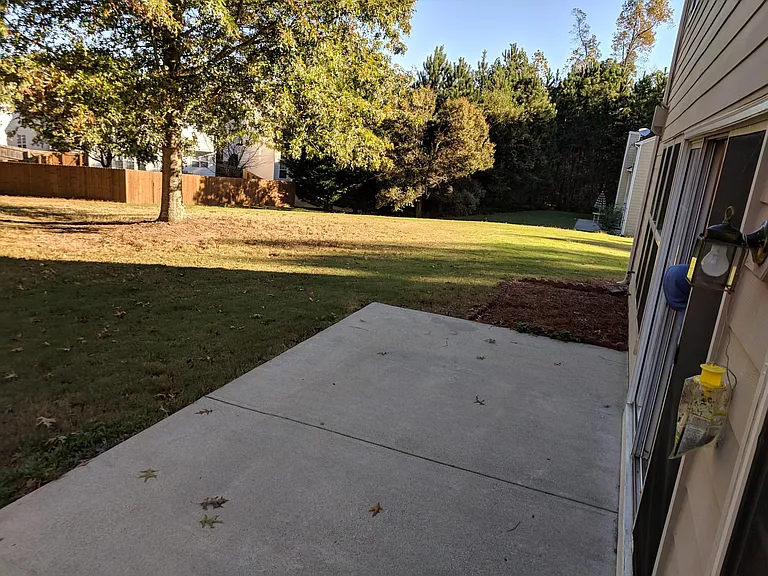 Backyard