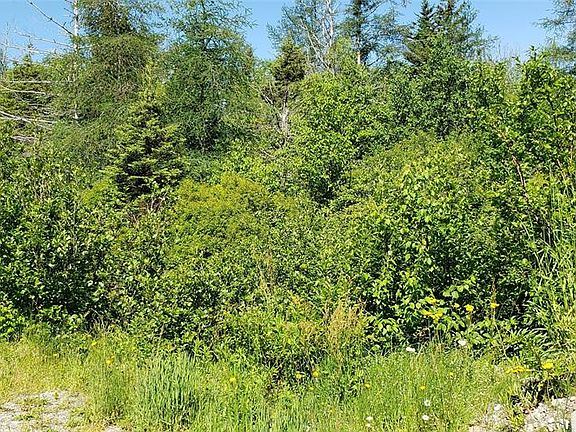 3rd image of 259-263 Seal Cove Road