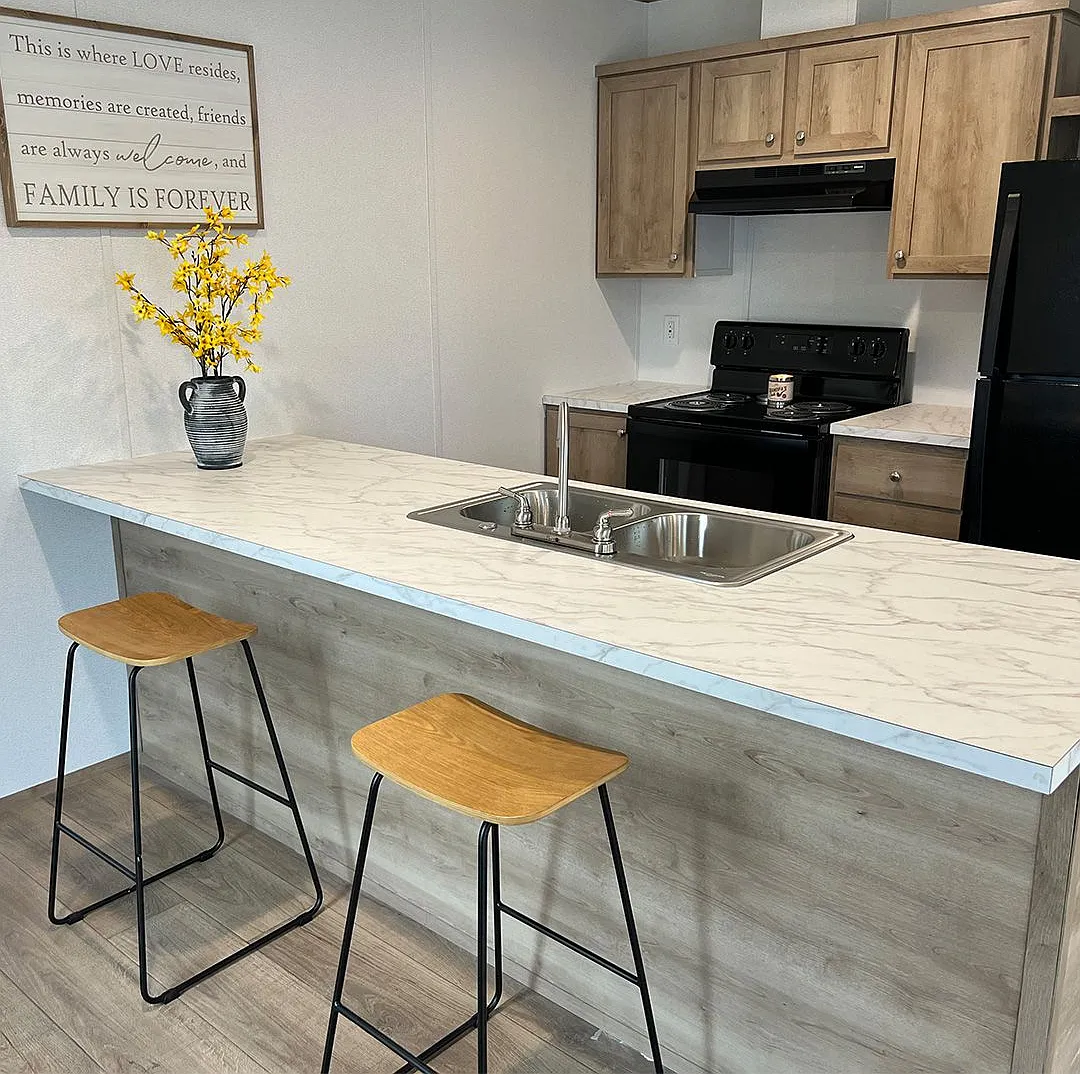 $61,000 New 2BR/2BA Phoenix Model Home — Photo 3