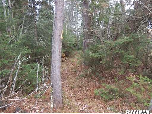 3rd image of LOT 2 Warner Road