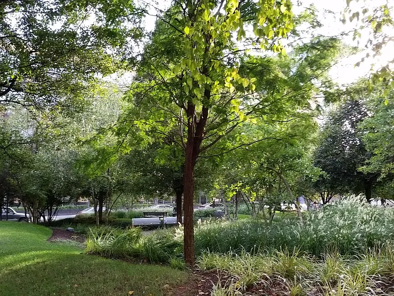 Park nearby