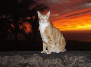 82-5803 Napoopoo Rd, Captain Cook, HI 96704