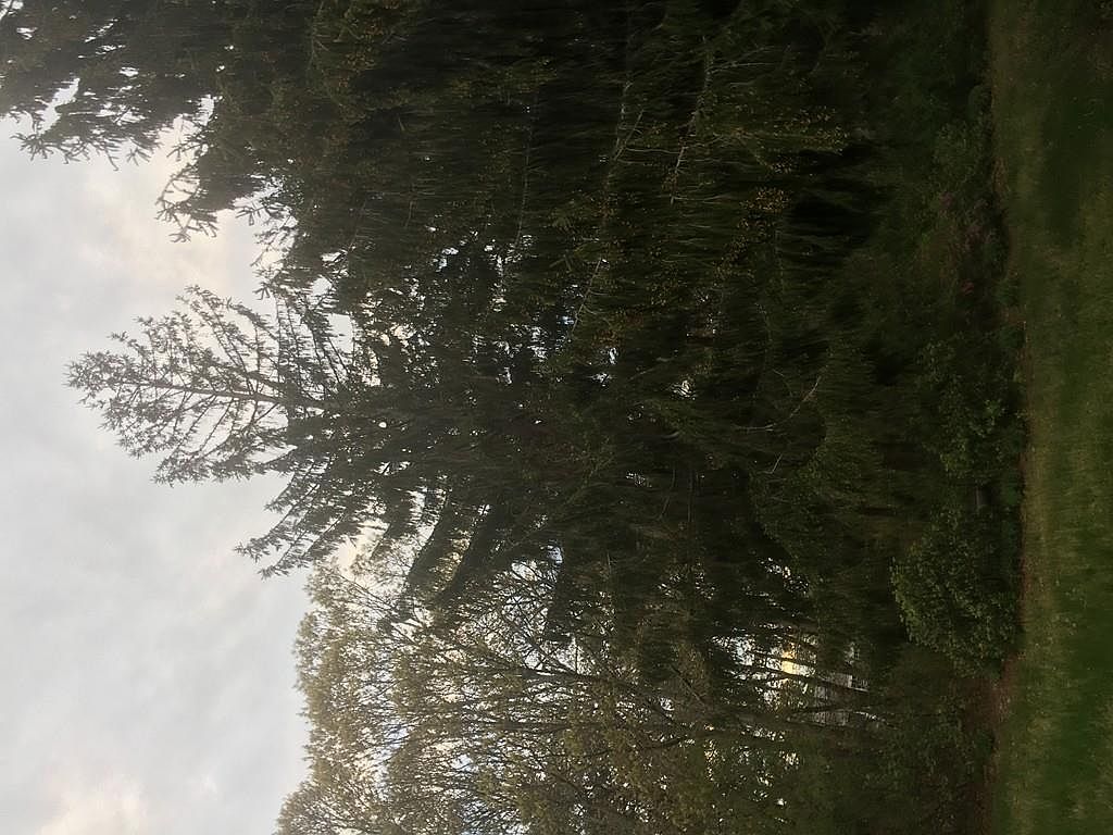 630 Waquoit Hwy, East Falmouth, MA 02536 Zillow