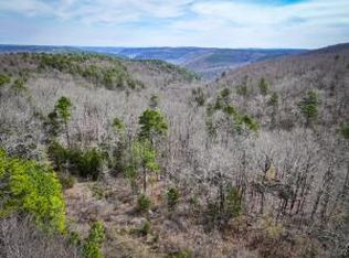 Angora Mountain Rd, Clinton, AR 72031
