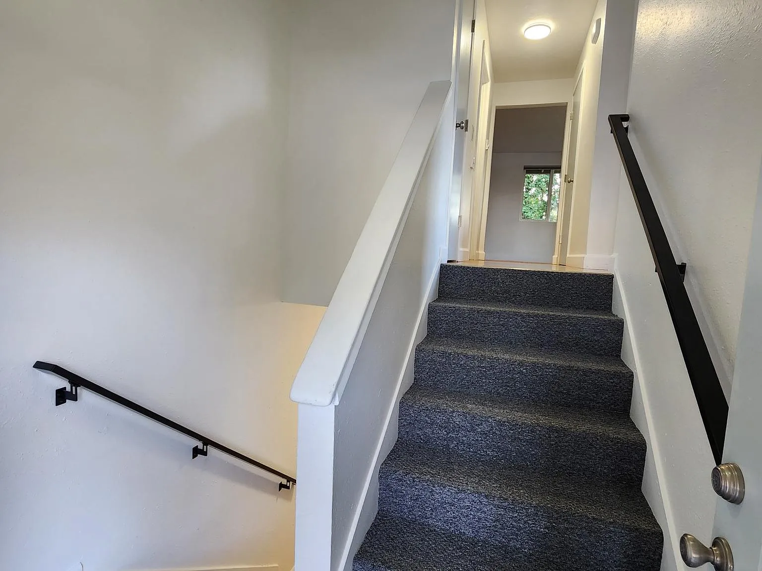 3 bed, 1.5 bath, 1216 sqft, $2,695 — Photo 4