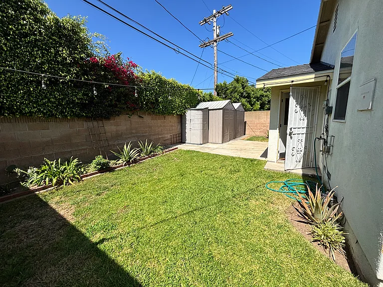 Backyard