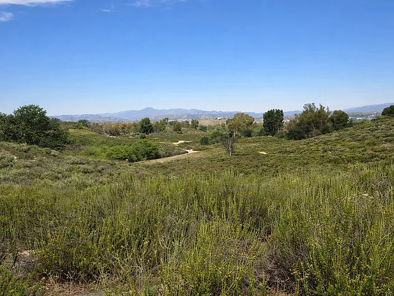 Scenic private park trail next to home leading directly to pool, spa, tennis and basketball courts
