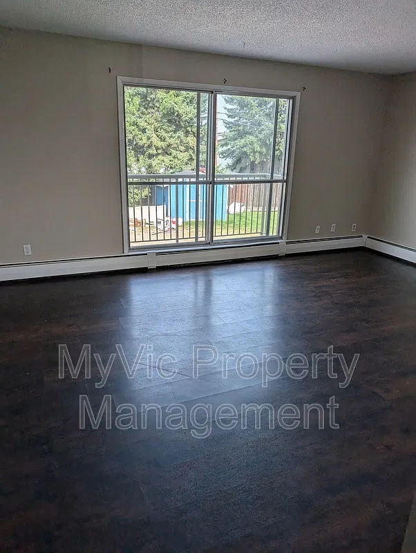 2 bed, 1.0 bath, $1,375 — Photo 2